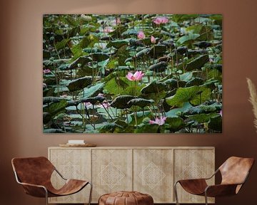 Grote Waterlelies Bogor Botanische Tuin van Maurits Bredius