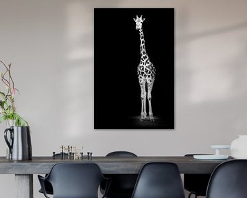 Giraffe in zwartwit van Tom Van den Bossche