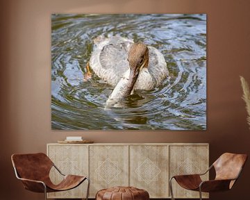 A goosander with fish by Teresa Bauer