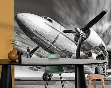 airplane by Frank Peters