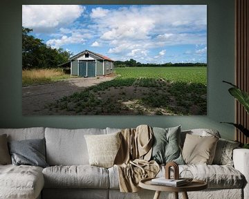 Boerenschuur nabij Koudekerke van Tom Haak