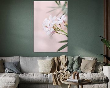 Bloemen in Toscane| Italië | Oleander | Roze | Botanische print van Mirjam Broekhof