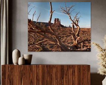 Monument Valley van swc07