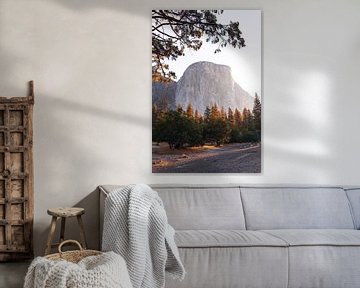 El Capitan in Yosemite Valley bij zonsopgang van swc07