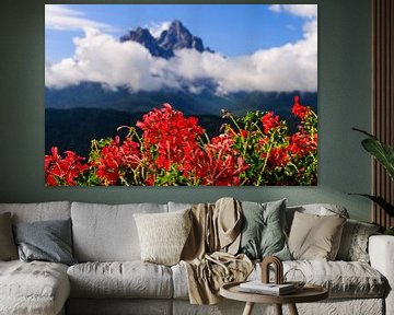 Alpen, bergtoppen en geraniums | Oostenrijk, Zwitserland, Italie