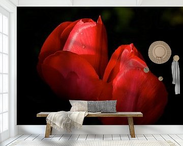 red tulips by Jan Gerrit Deelen