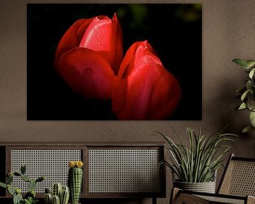 rote Tulpen von Jan Gerrit Deelen
