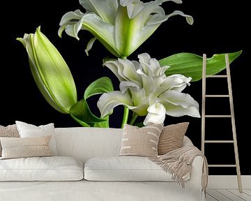 Solo fine-art flower by Fine Art Flower - Artist Sander van Laar