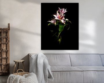 Solo fine-art bloem "Madonnalelie" van Sander Van Laar