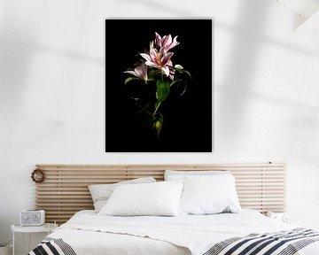 Solo fine-art flower sur Flower artist Sander van Laar
