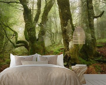 Lullaby Of Trees by Ellen Borggreve