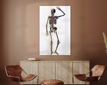 Anatomie rugzijde volledig skelet met bloedvaten en pezen van Zeger Knops
