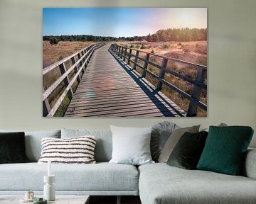 De Hoge Veluwen in Gelderland met een prachtige zon boven een brug van Jolanda Aalbers