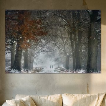 Misty Winter Wonderland