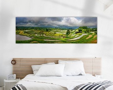 Panorama of the rice fields of Jatiluwih in Bali by Rene Siebring