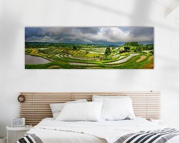 Panorama of the rice fields of Jatiluwih in Bali