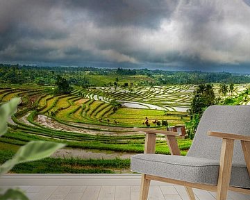 Panorama van de rijstvelden van Jatiluwih in Bali van Rene Siebring