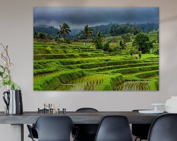 Terrassen von Reisfeldern in Jatiluwih - Bali von Rene Siebring