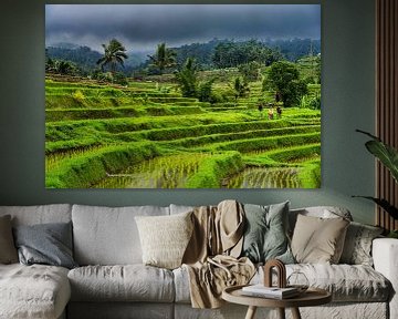 Terrassen van rijstvelden in Jatiluwih - Bali van Rene Siebring