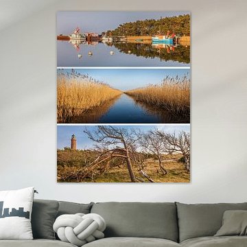 Dreams of the sea: Darss place