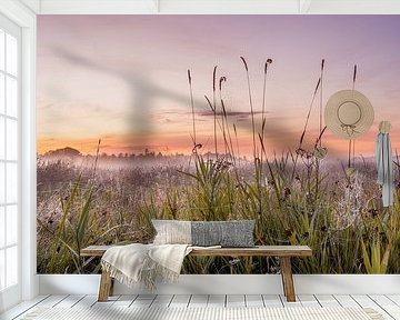 Cobwebs and fog during sunrise by Dafne Vos