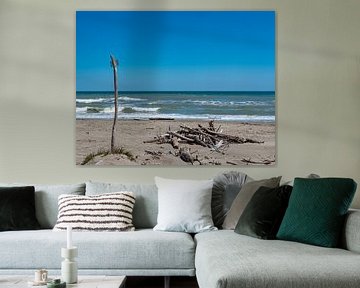 Mer Adriatique avec bois flotté sur une plage naturelle sur Animaflora PicsStock