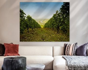 Vineyards of Sonneberg (DE) by noeky1980 photography