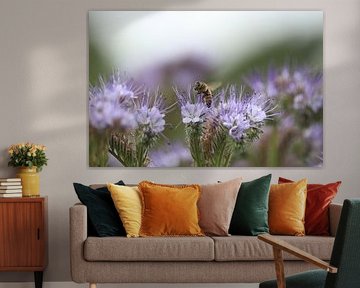 The bee and the flower by Rick Brandwijk