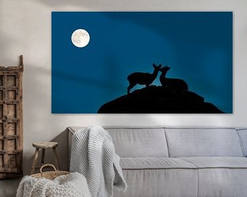 Deux sauteurs de falaise s'embrassent au clair de lune. sur Peter van Dam