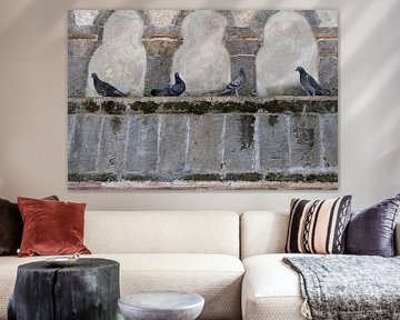 Tauben auf einer alten Mauer in Ravello an der Amalfiküste von Annelies van der Vliet