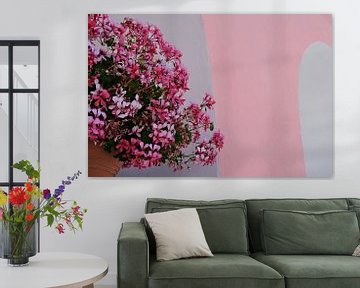 Des fleurs roses sur un mur rose sur Annelies van der Vliet