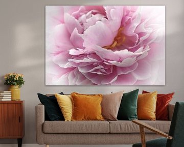 A peonydream von Anja Jooren