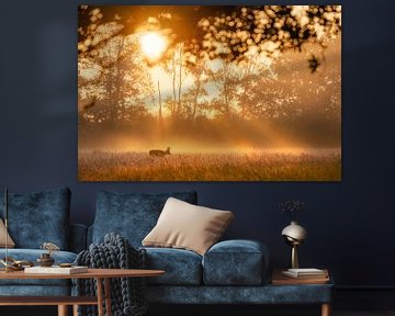 Deer under a golden sunray shower