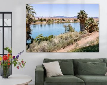 Gila River Arizona USA oever met Palmbomen van Marianne van der Zee