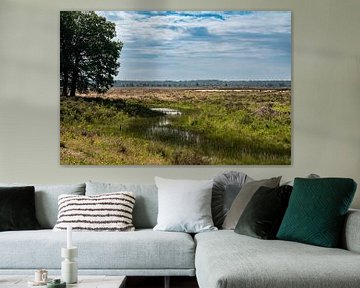 Wetlands and dry heather over blue sky at the Veluwe by Werner Lerooy