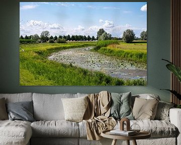 Panoramablick über die grünen Feuchtgebiete am Fluss IJssel,