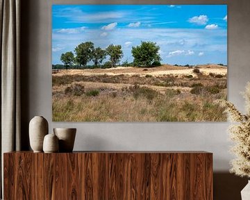 Heather and trees against blue sky at the Veluwe national park by Werner Lerooy