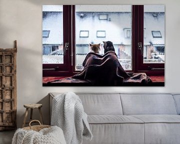 Katten in een deken voor het raam tijdens de sneeuw