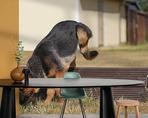 Raumvorschau