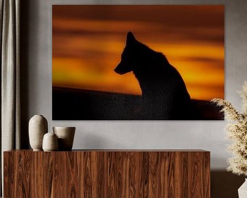 Silhouet van een vos bij zonsondergang van Leon Brouwer