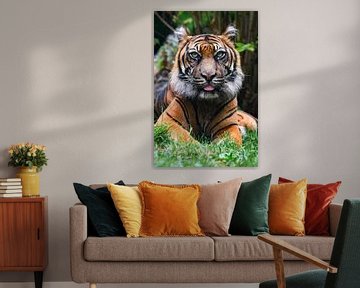 Portret van een  Sumatraanse tijger in de natuur