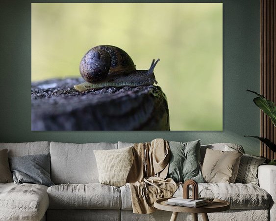 Raumvorschau