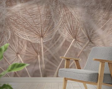 From the inside of a tragopogon by Marjolijn van den Berg