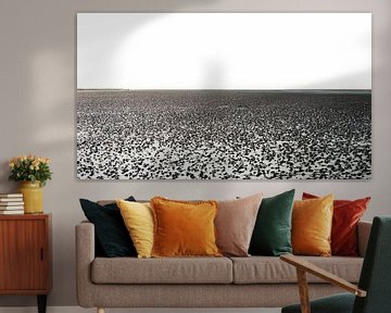 View of the dry mudflats near Sankt Peter-Ording by Rob Liefveld