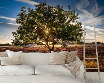 Zonsopkomst op de heide, Loonse en Drunense duinen van Goos den Biesen