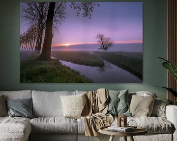 Paysage de polders dans la Betuwe sur Moetwil en van Dijk - Fotografie