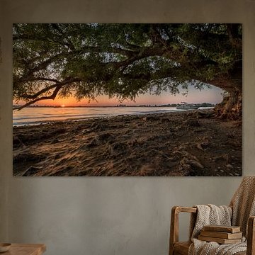 Coucher de soleil sur la rivière Nederrijn