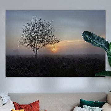 Ermelo au petit matin