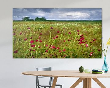 Purple poppies field by Hans Kwaspen