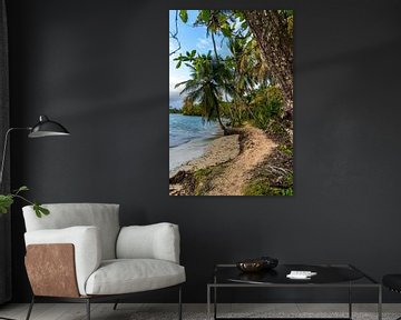 Tropical path with palm trees along the sea in Panama by Marlo Brochard